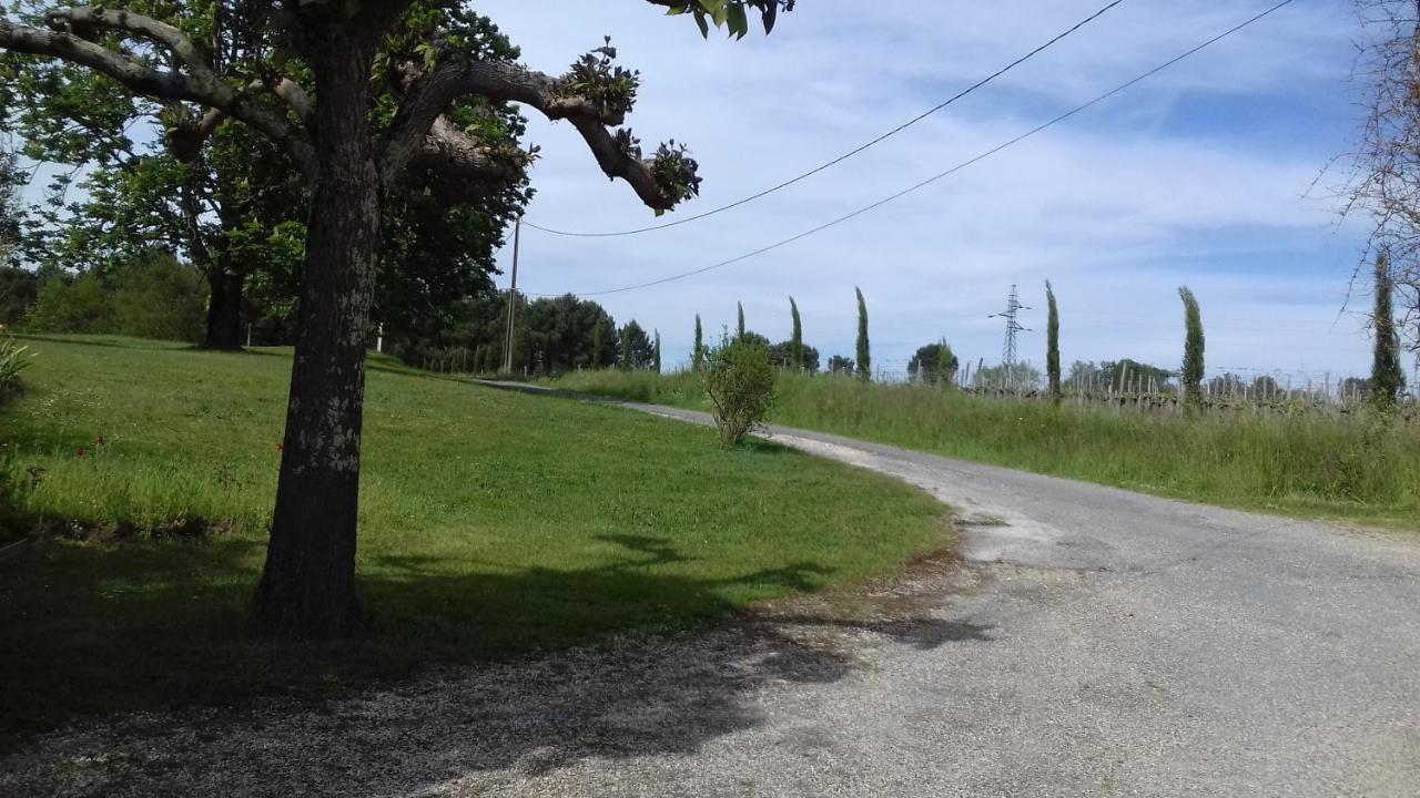 Gite Lieu Dit Gautier Civrac-de-Blaye 외부 사진